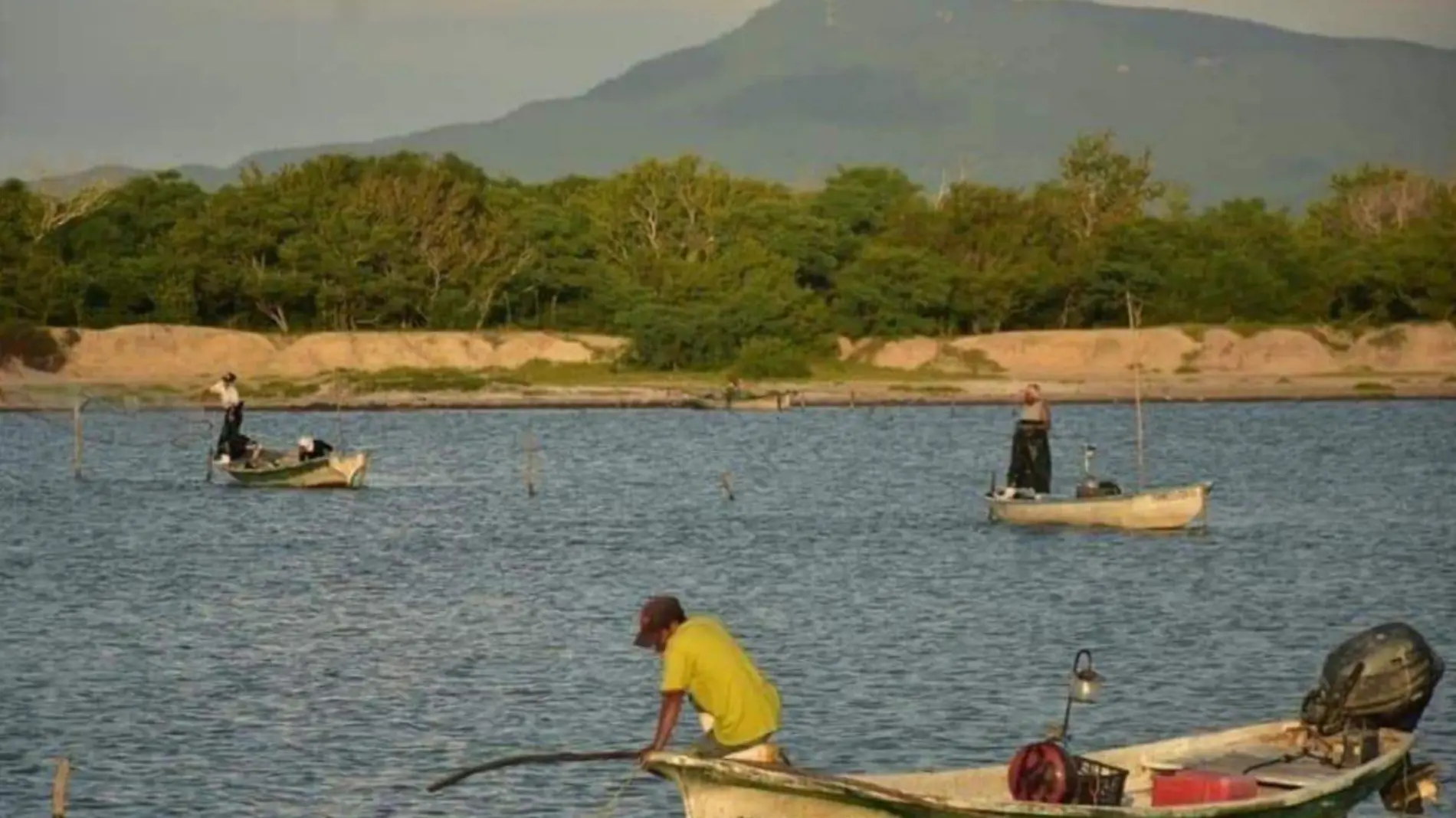 capturas de camarón rosario